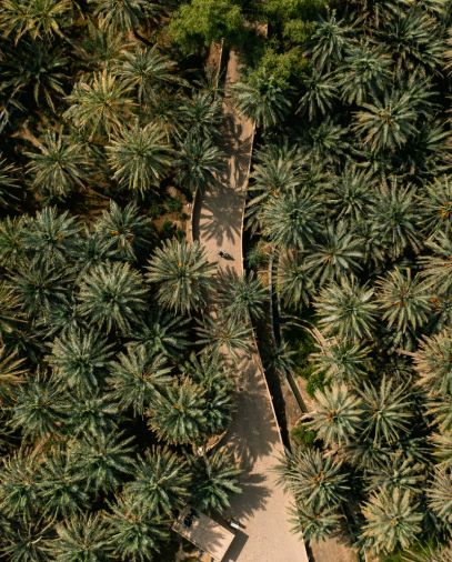 UNESCO World Heritage Site